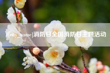 沙洋消防日全国消防日主题活动