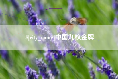 沙洋中国九枚金牌