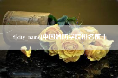 沙洋中国消防学院排名前十