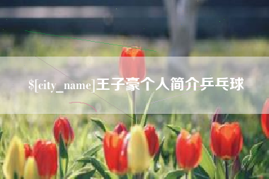 沙洋王子豪个人简介乒乓球