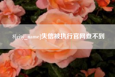 沙洋失信被执行官网查不到