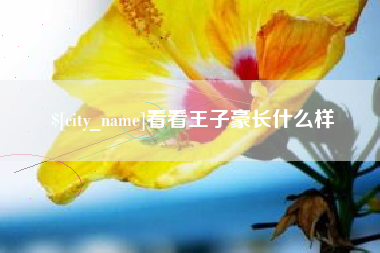 沙洋看看王子豪长什么样