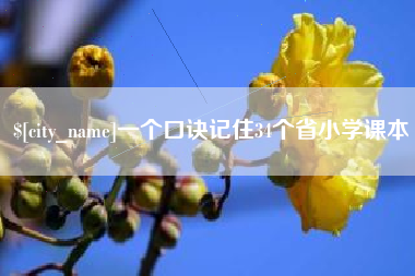 沙洋一个口诀记住34个省小学课本
