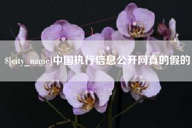 沙洋中国执行信息公开网真的假的