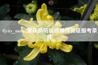沙洋重庆消防设施操作员证报考条件