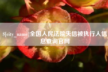 沙洋全国人民法院失信被执行人信息查询官网