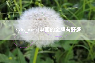 沙洋中国的金牌有好多