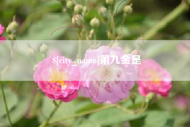 沙洋第九金是