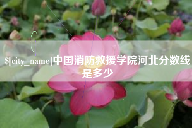 沙洋中国消防救援学院河北分数线是多少