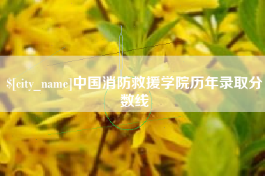 沙洋中国消防救援学院历年录取分数线