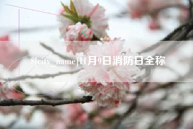 沙洋11月9日消防日全称