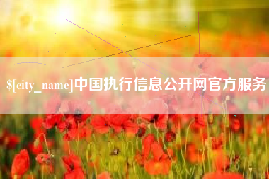 沙洋中国执行信息公开网官方服务