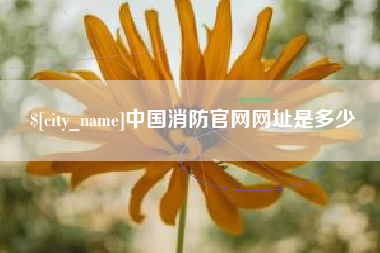 沙洋中国消防官网网址是多少