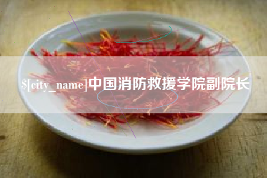 沙洋中国消防救援学院副院长