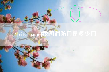 沙洋我国消防日是多少日