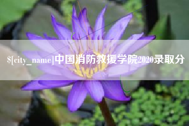 沙洋中国消防救援学院2020录取分