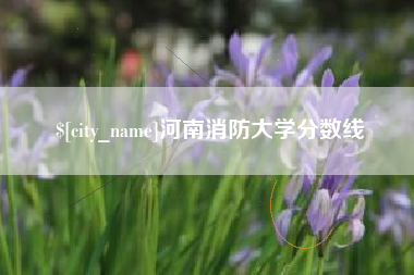 沙洋河南消防大学分数线