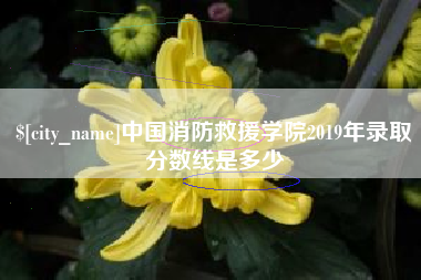 沙洋中国消防救援学院2019年录取分数线是多少