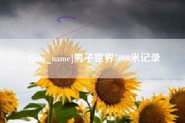 沙洋男子世界5000米记录