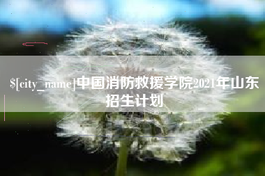 沙洋中国消防救援学院2021年山东招生计划