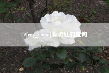 沙洋消防证的查询