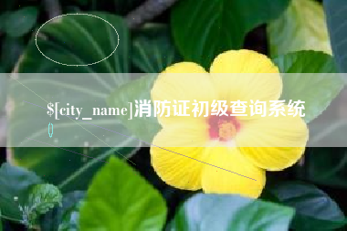 沙洋消防证初级查询系统