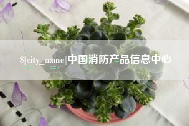 沙洋中国消防产品信息中心