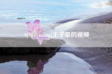 沙洋王子豪的视频