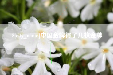 沙洋中国金牌得了几枚金牌