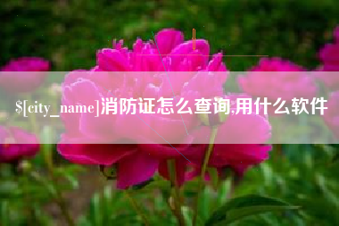 沙洋消防证怎么查询,用什么软件
