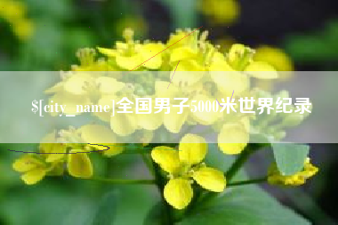 沙洋全国男子5000米世界纪录