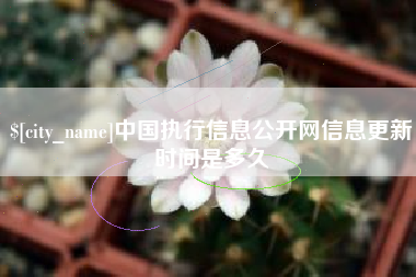 沙洋中国执行信息公开网信息更新时间是多久