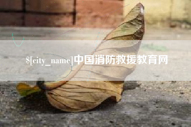 沙洋中国消防救援教育网