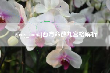 沙洋西方命数九宫格解析