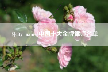 沙洋中国十大金牌律师名单