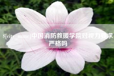 沙洋中国消防救援学院对视力要求严格吗