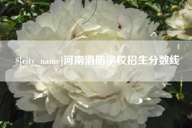 沙洋河南消防学校招生分数线
