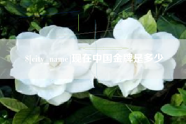 沙洋现在中国金牌是多少