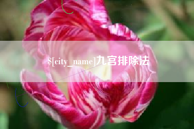 沙洋九宫排除法