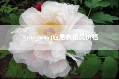 沙洋应急救援员价格