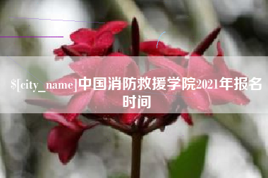 沙洋中国消防救援学院2021年报名时间