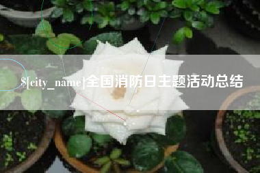 沙洋全国消防日主题活动总结