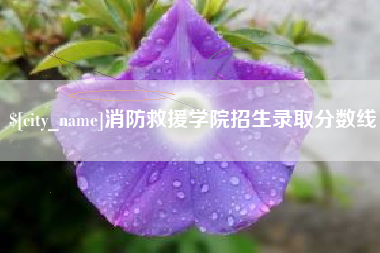 沙洋消防救援学院招生录取分数线