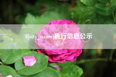 沙洋执行信息公示
