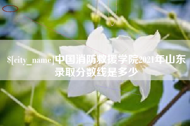 沙洋中国消防救援学院2021年山东录取分数线是多少