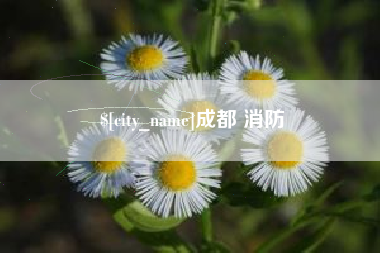 沙洋成都 消防
