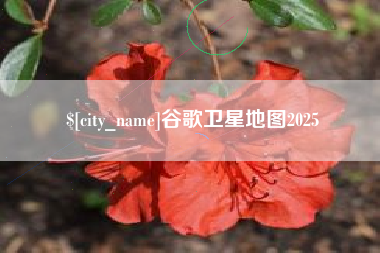 沙洋谷歌卫星地图2025