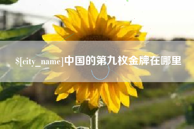 沙洋中国的第九枚金牌在哪里