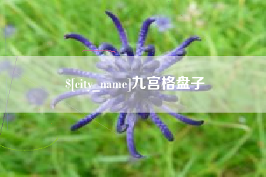沙洋九宫格盘子