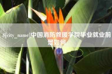 沙洋中国消防救援学院毕业就业前景如何